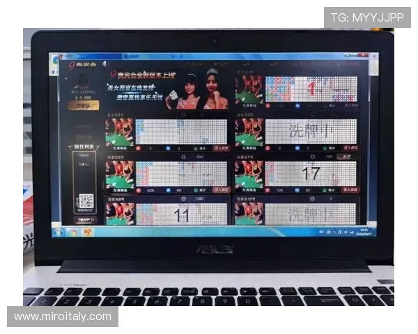 如何识别和防范百家乐外挂程序确保你的游戏环境安全可靠